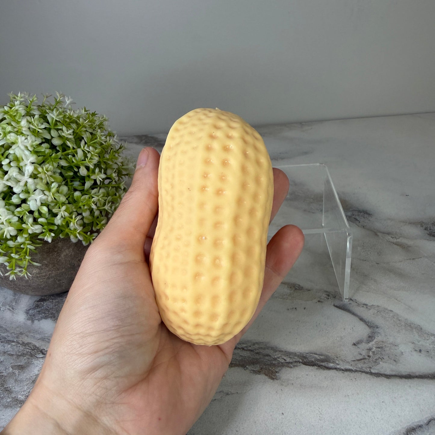 Squishy Toy - Peanut