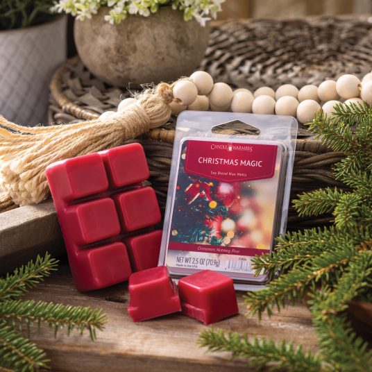 Holiday Season Wax Melts